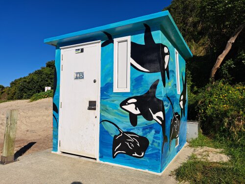 Colouring Kaipara; Public art bringing community spaces to life